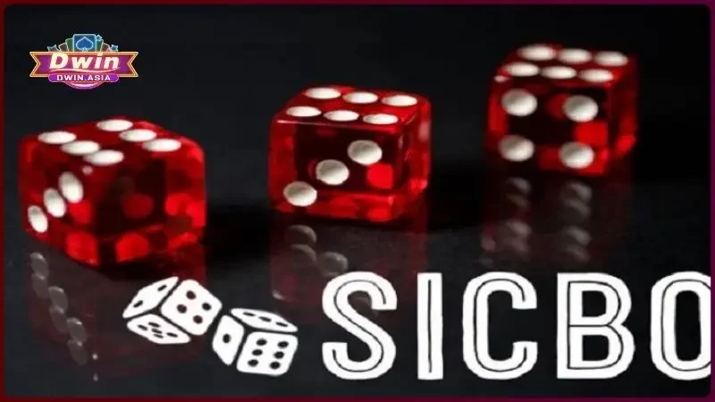 Sicbo Dwin - Nghệ Thuật Chinh Phục Tài Xỉu Live Casino