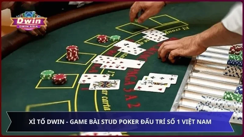 Xì Tố Dwin - Game Bài Stud Poker Đấu Trí Số 1 Việt Nam